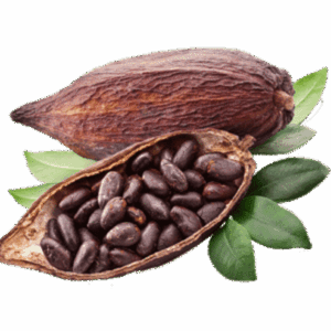 CACAO NIBS (DRAGEE)