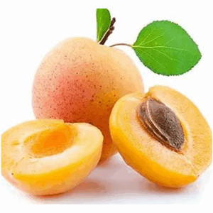 SPECIAL MIX DRY APRICOT POWDER