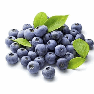 SPECIAL MIX DRY BLUEBERRY POWDER