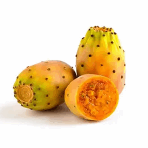 SPECIAL MIX DRY CACTUS POWDER