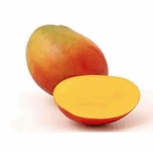 SPECIAL MIX DRY MANGO POWDER