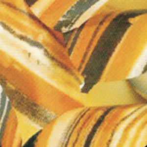 Chocolate Transfer Sheets C-106