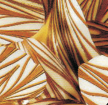 Chocolate Transfer Sheets C-107